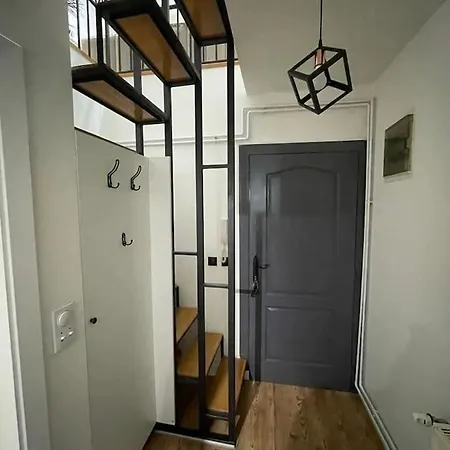 Element 쿠르셰바츠