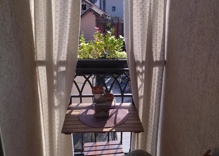 Element アパート *